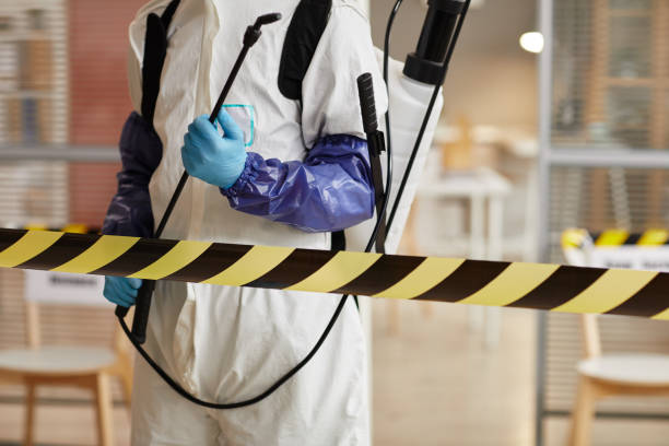Professional Hoarding Cleanup technician working in Germantown, IL